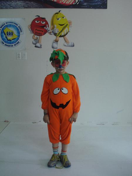 fancy dress 029.jpg